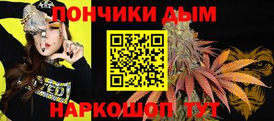стафф Моздок
